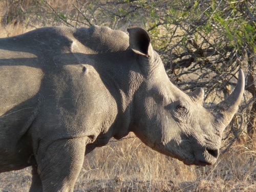 Hluhluwe 002